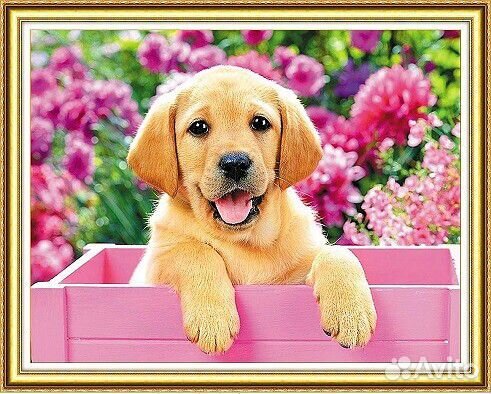 Алмазная мозаика 40х50 см полная выкладка