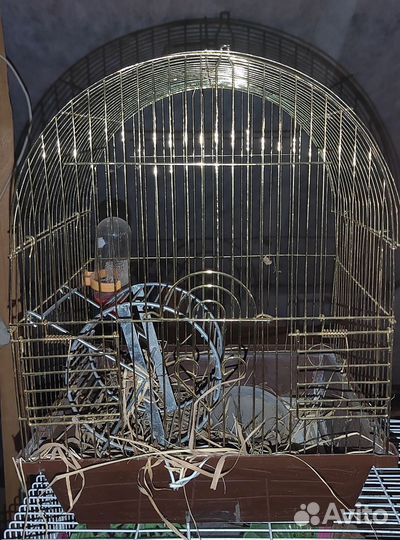 Клетка для хомяка