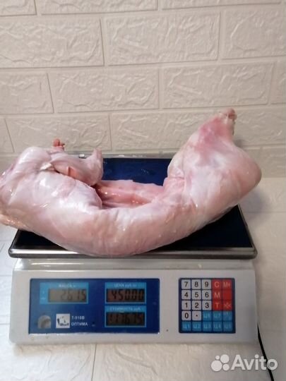 Продам мясо кролика