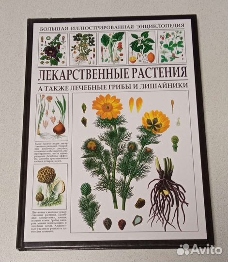 Большая энциклопедия лекарственных растений