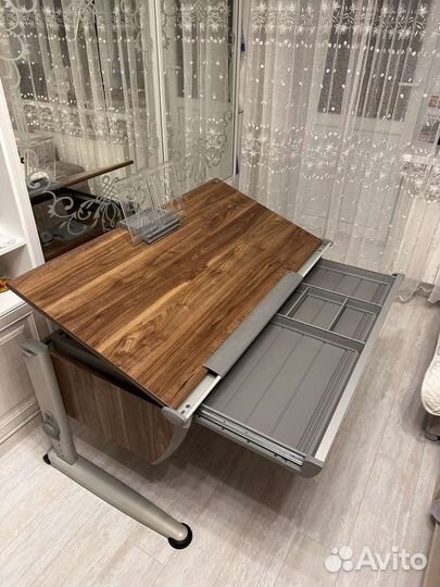 Растущая парта moll