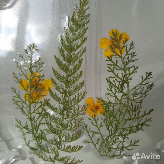 Декор-лето. Эпоксидная смола и сухоцветы