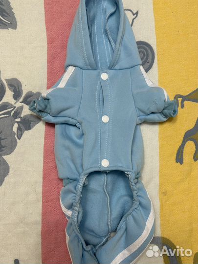 Одежда для собак