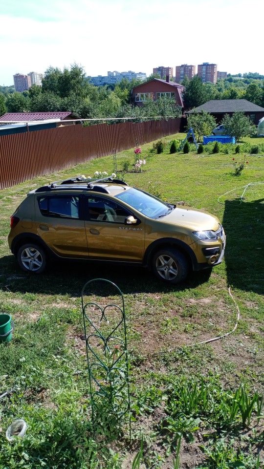 Renault Sandero Stepway: фото владельца