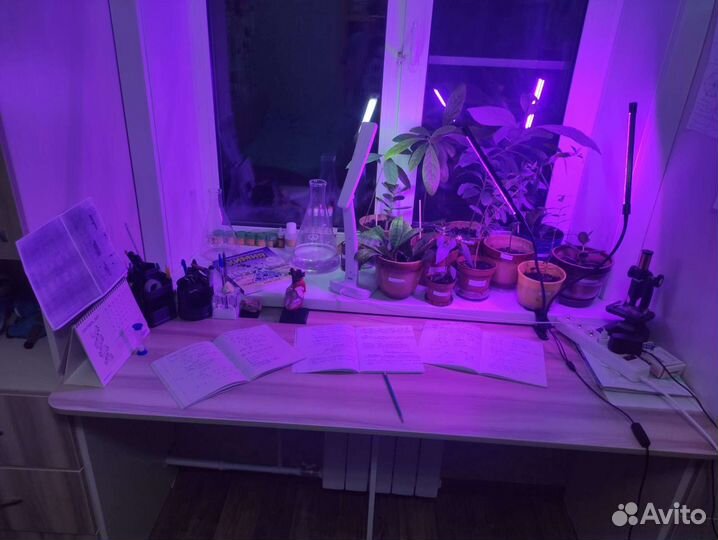 Преподаватель биологии, химии и математики