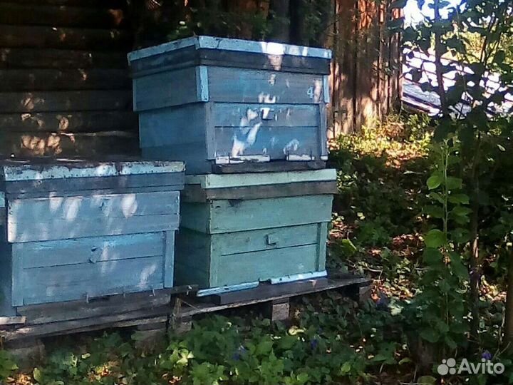 Ульи рамки и другой инвентарь