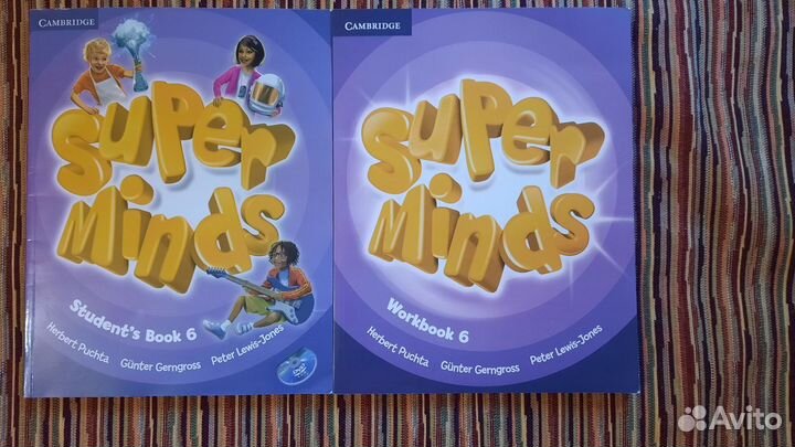 Super Minds 6