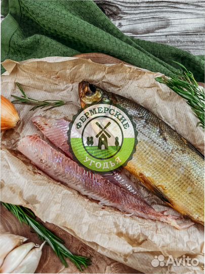 Рыба северная Язь Щука Щекур Мохтик Лещ Сырок