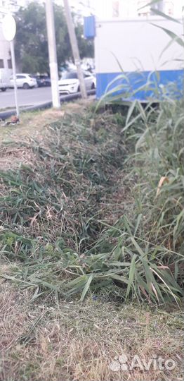 Пакос травы