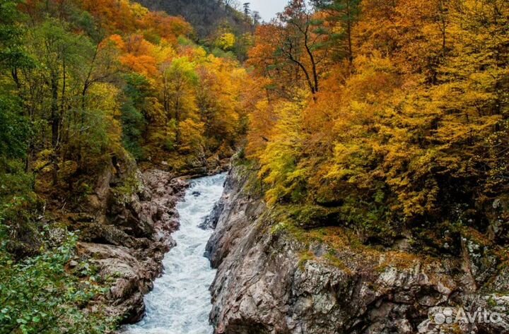 Тур путевка Осень в Адыгеи от 4* завтрак