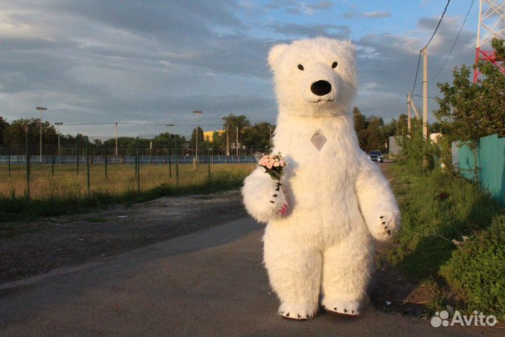 Экспресс-Поздравления Белый Медведь 2,5м ростом