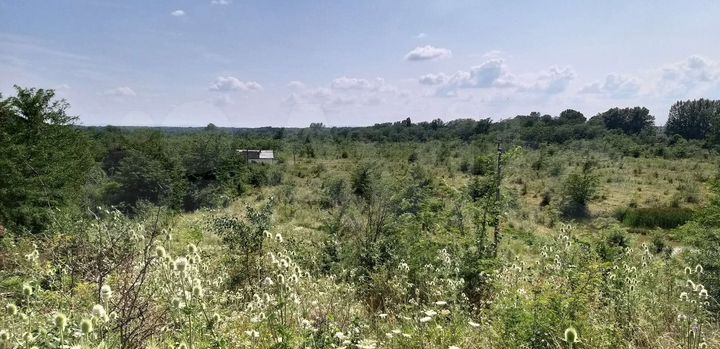 Участок 40 сот. (ИЖС)