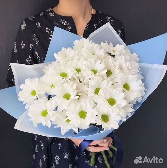 Хризантема Букет хризантем Доставка