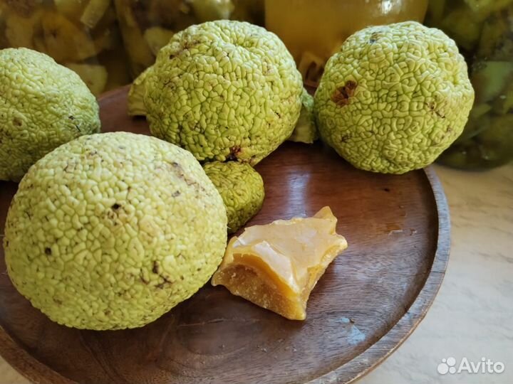 Фитомазь Маклюра от Радикулит