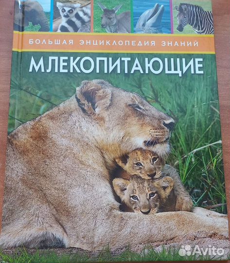 Большая энциклопедия знаний 