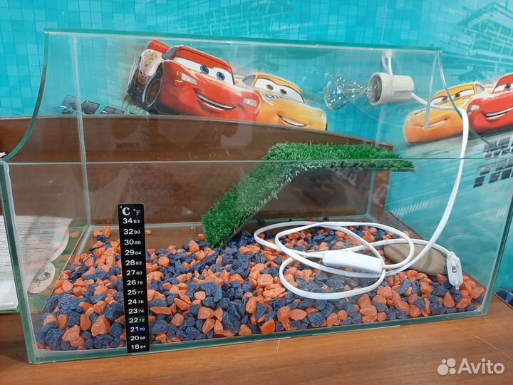 Террариум для черепах