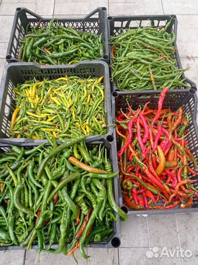 Перец острый