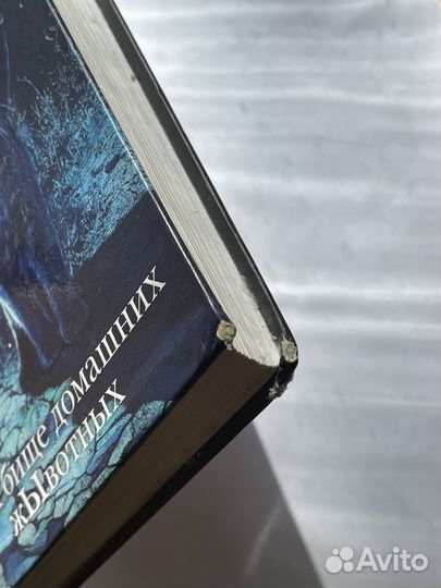 Книга «Кладбище домашних животных» Стивена Кинга