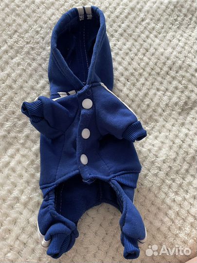 Одежда для собак мелких пород