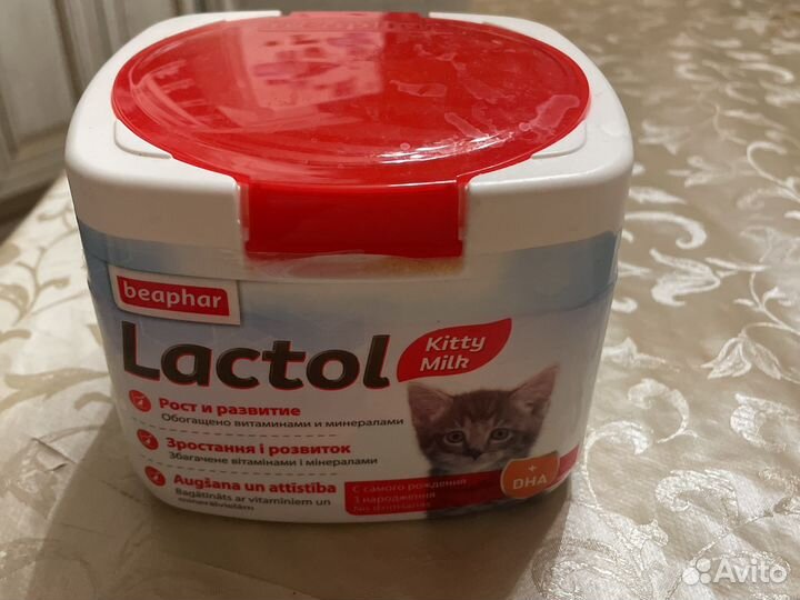 Молокозаменитель кошачьего молока