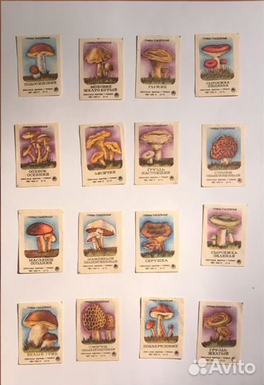 Набор спичечных этикеток:грибы сьедобные