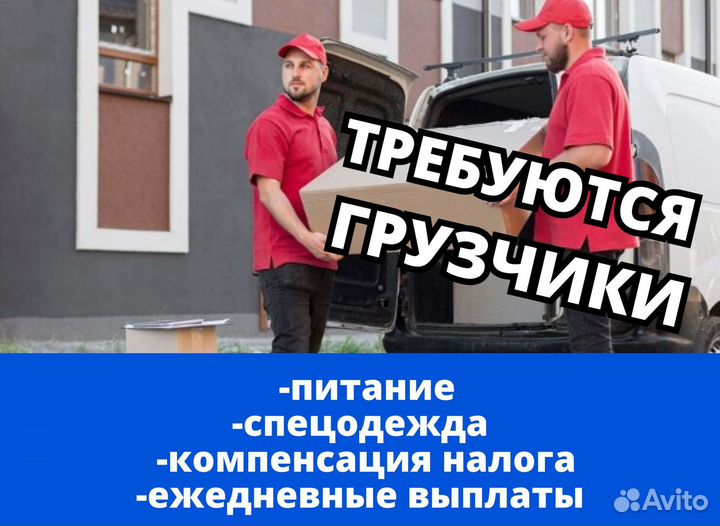 Грузчик ежедневная оплата. Код:ht826