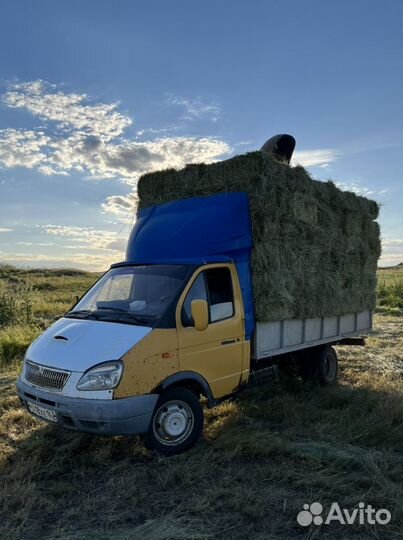 Сено в тюках