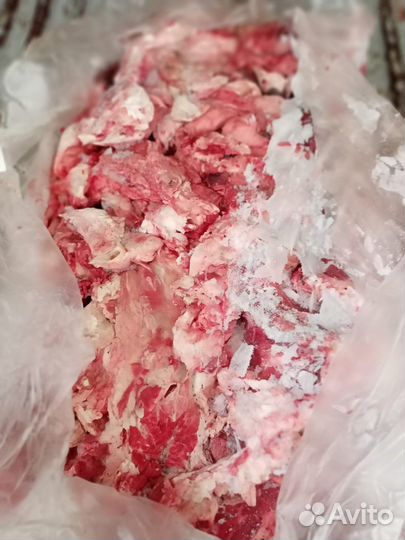 Мясо говядина для собак