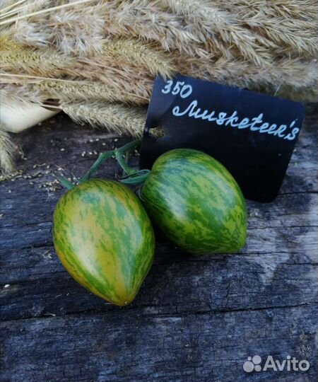 Семена редких коллекционых помидор