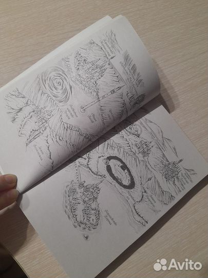 Книга,Злые сёстры