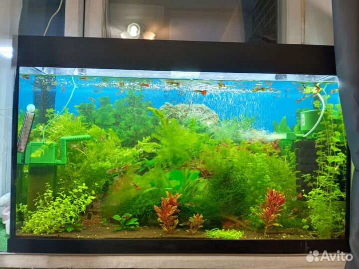 Аквариум