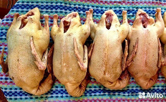 Мясо индоутки, мясо кролика