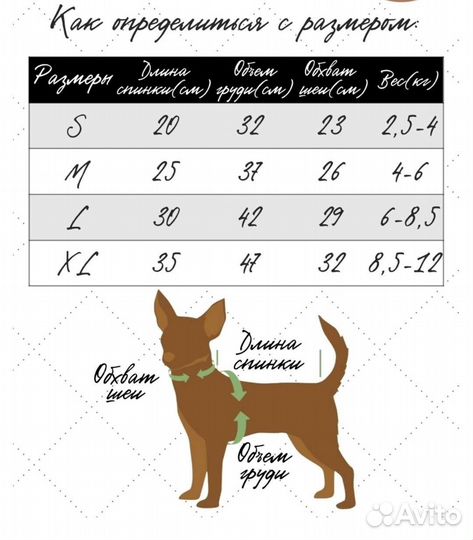 Свитер, одежда для животных