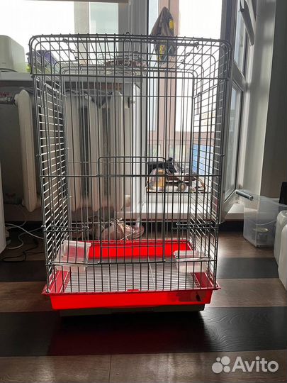 Клетка для попугая корелла