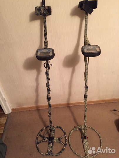 Прокат X-Terra 705 DD+ (аренда металлоискателя)