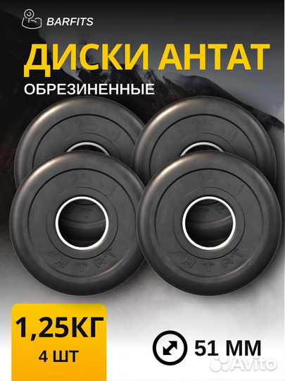 Комплект Дисков Антат 51мм 1.25кг. / 4 шт