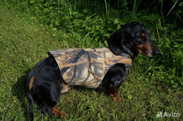 Шлейки для таксы специальная анатомическая модель