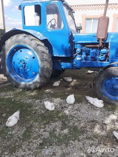 Трактор МТЗ (Беларус) 50, 1986