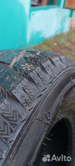 Mazzini Ice Leopard 185/70 R14 92T