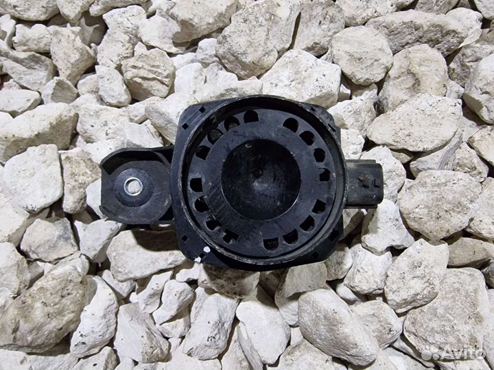 Сирена Флюенс Fluence