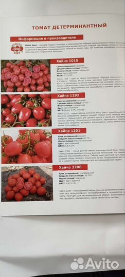 Профессиональные семена овощных культур