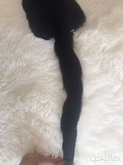 Шкурка норки