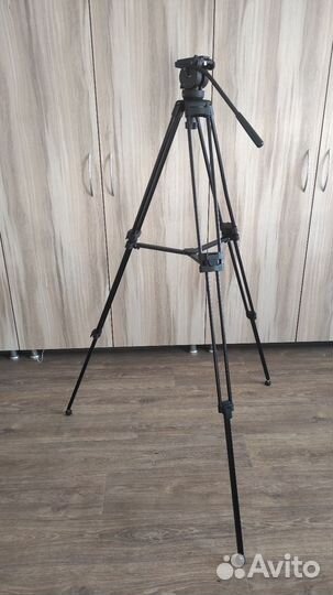 Штатив