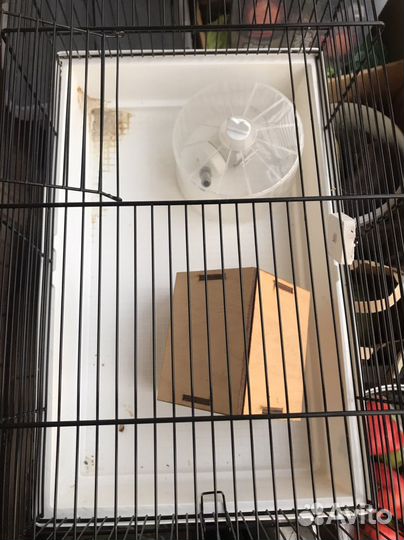 Клетка для грызунов большая