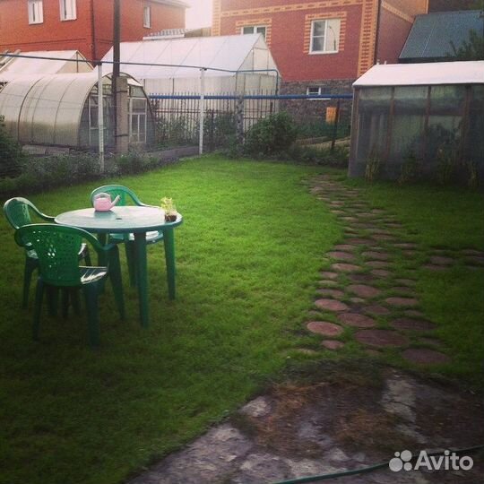 Газон/Газонная трава/Семена газона