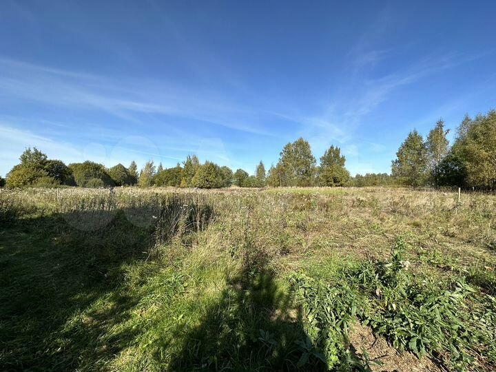 Участок 16 сот. (ИЖС)