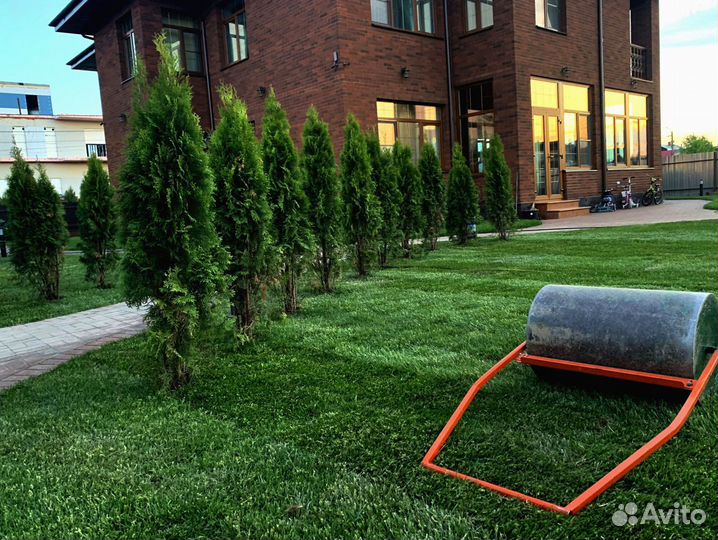 Газон в рулоне