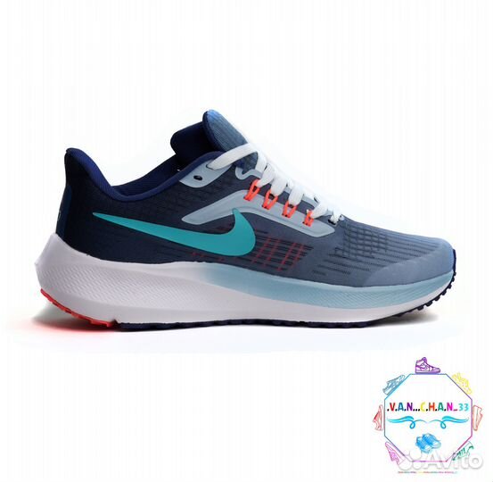 Nike Pegasus 39