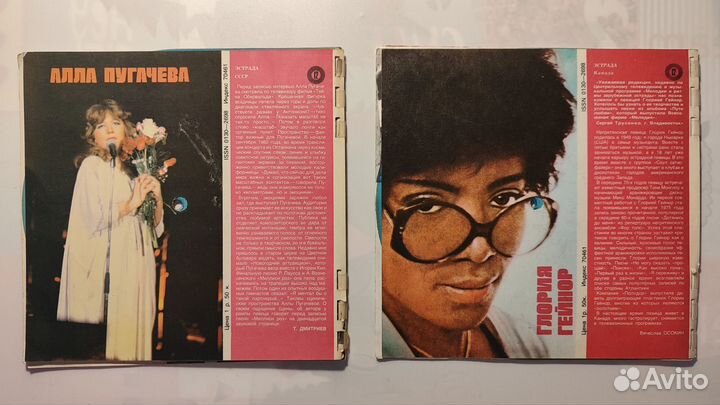 Журналы с гибкими пластинками 