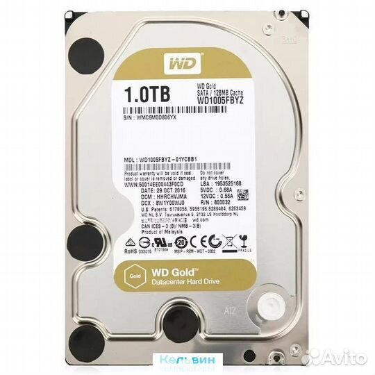 WD1005fbyz